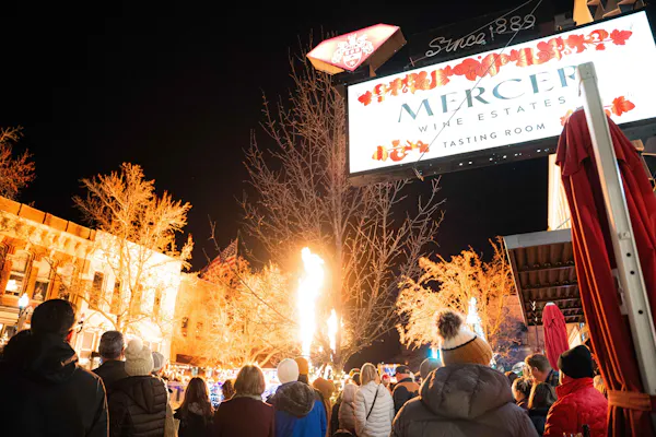 orange, jacket, crowd, night, public event, winter