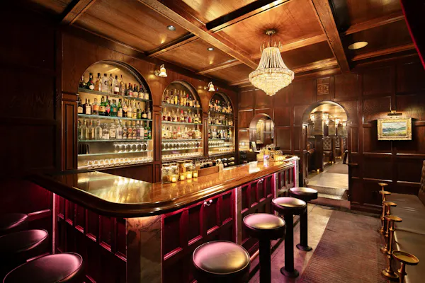 bar, alcoholic drink, pub, drinking establishment, barware, bottle
