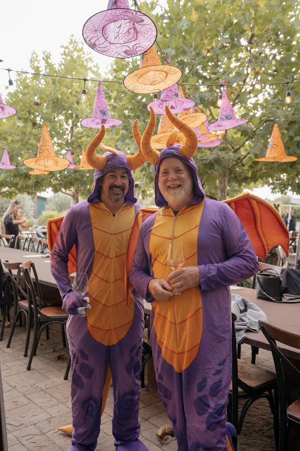 smile, fun, costume, recreation, leisure, entertainment