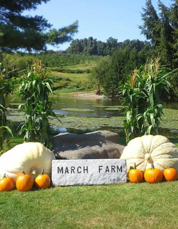 calabaza, pumpkin, winter squash, produce, vegetable, squash