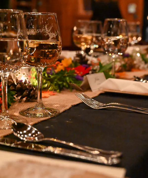 tableware, drinkware, stemware, wine glass, barware, champagne stemware
