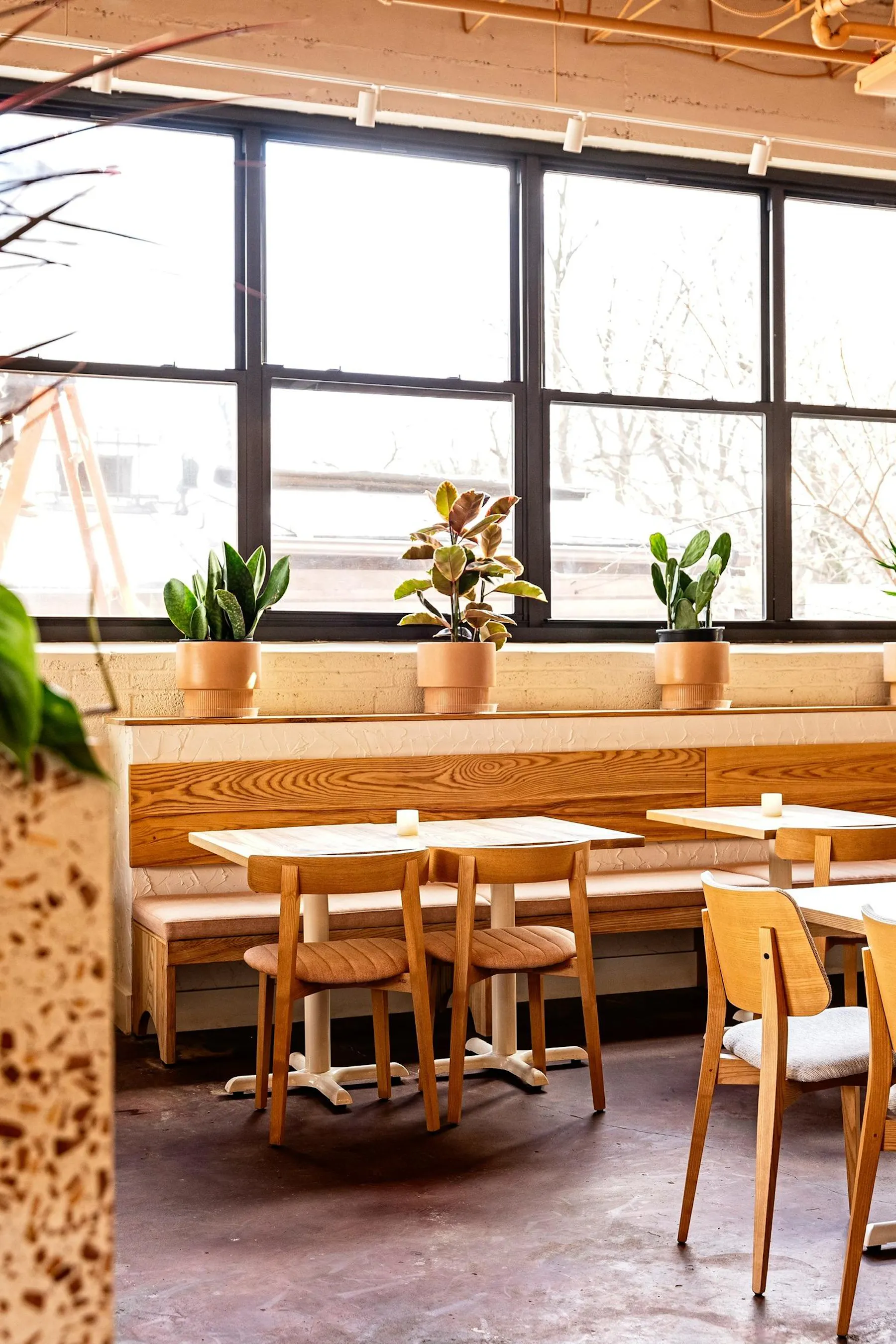 Cielo Rojo - Takoma Park, MD | Tock