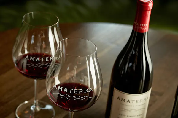 bottle, drinkware, stemware, tableware, barware, liquid