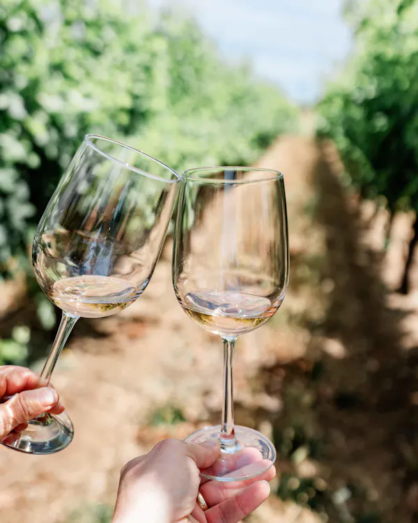 stemware, tableware, drinkware, wine glass, barware, alcoholic drink