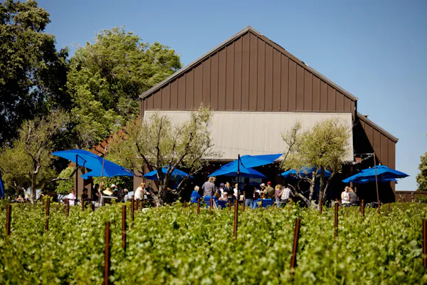 plant, sky, plant community, building, land lot, tree