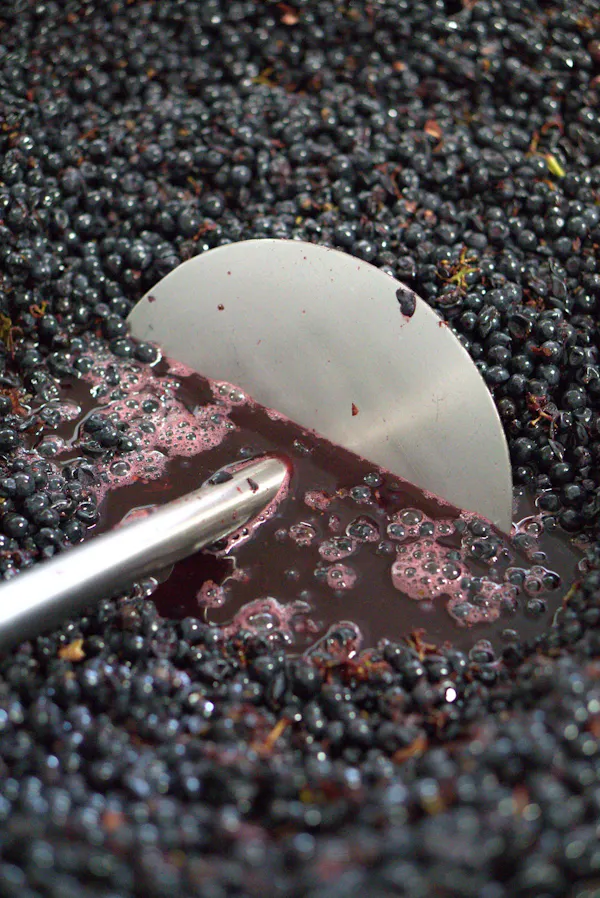 ingredient, berry, food, produce