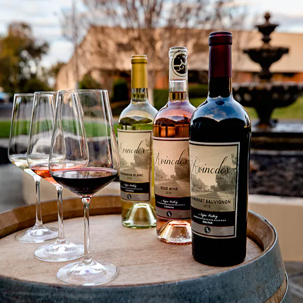 alcoholic drink, barware, bottle, alcohol, wine, dessert wine