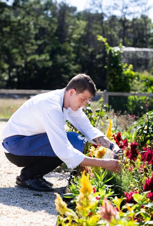 flower, green, garden, shrub, spring, people in nature