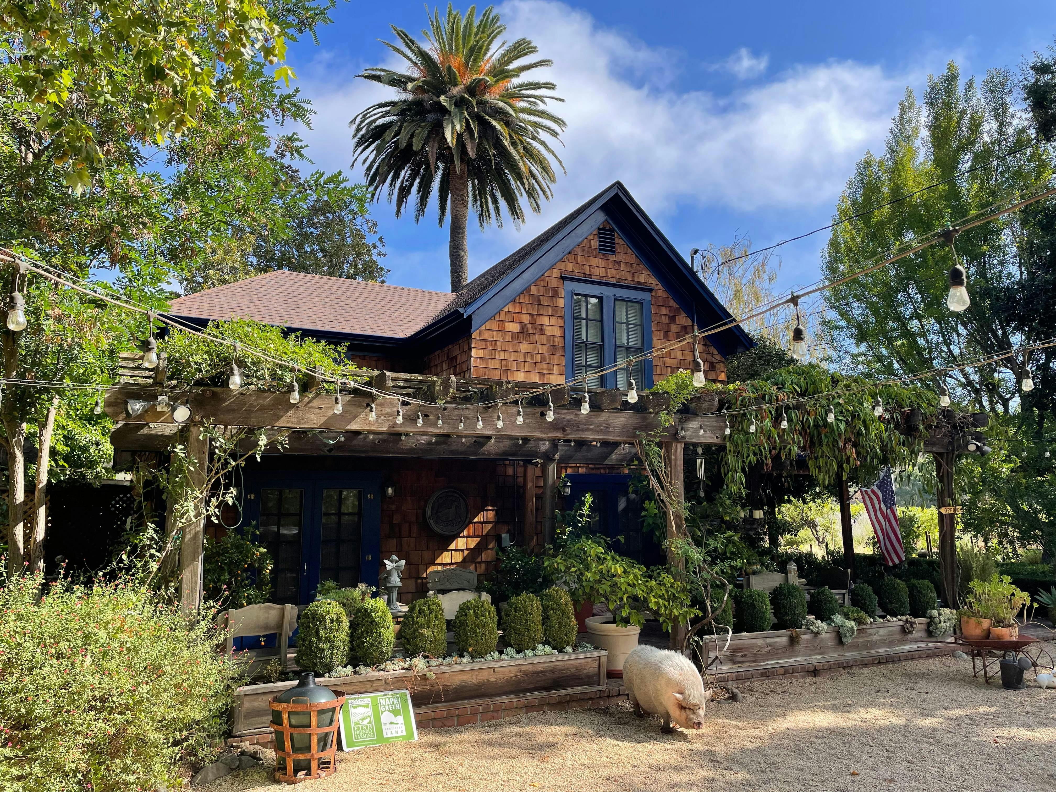 Canard Vineyard