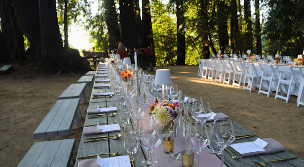 event, furniture, leisure, chair, shade, woodland