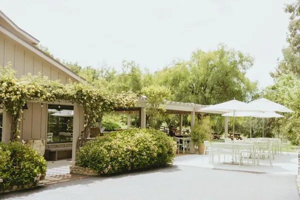 plants, shrub, garden, shade, spring, groundcover