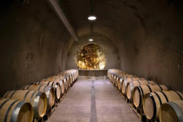 barrel, winery, wine cellar