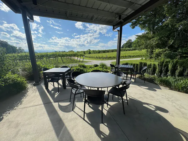 furniture, chair, outdoor furniture, table, outdoor table, shade