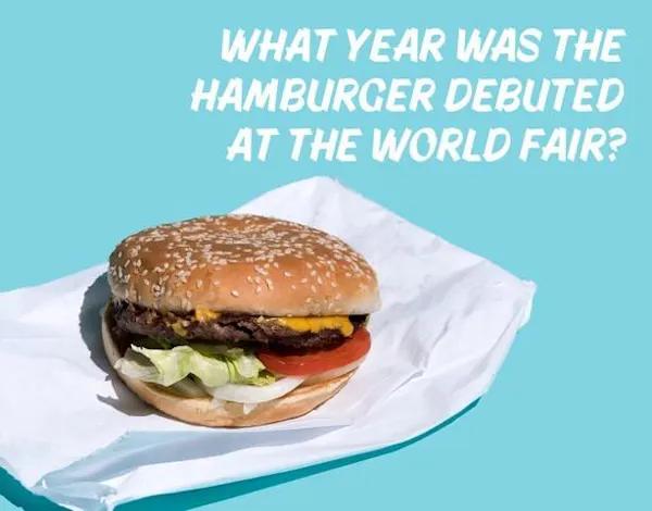hamburger, food, veggie burger, bun, buffalo burger, finger food