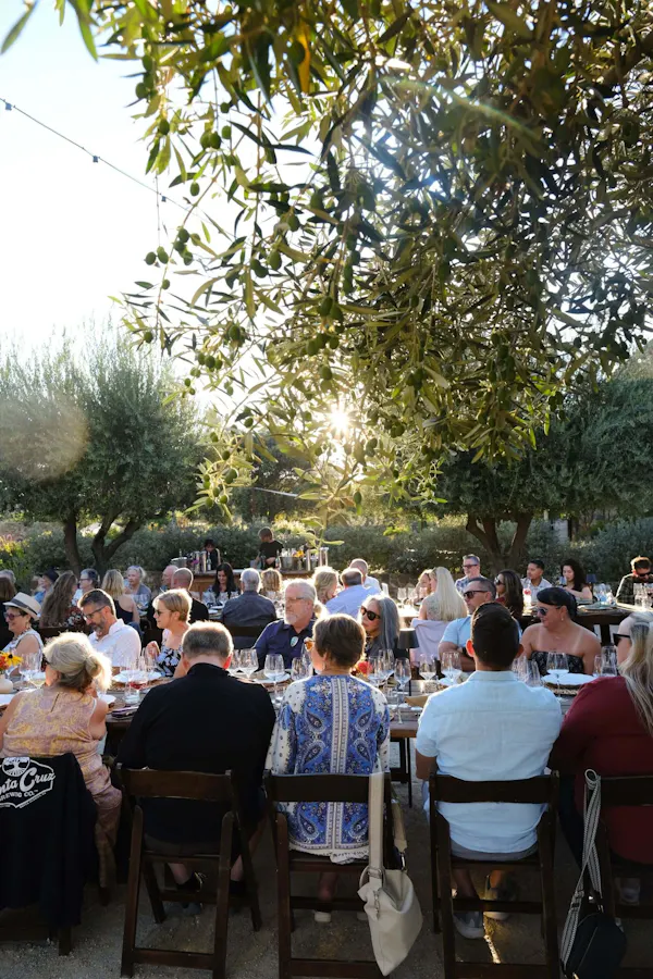 event, leisure, recreation, party, crowd, chair
