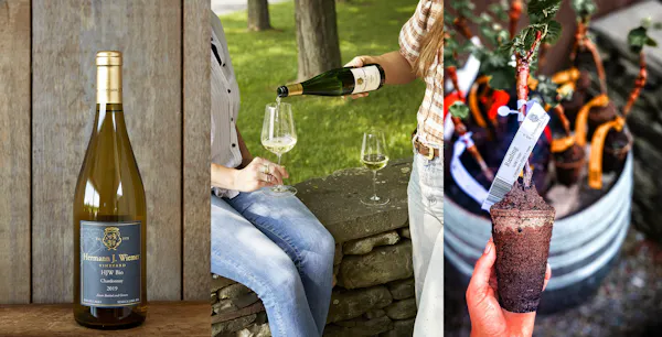 bottle, alcoholic drink, glass bottle, wine bottle, wine, alcohol