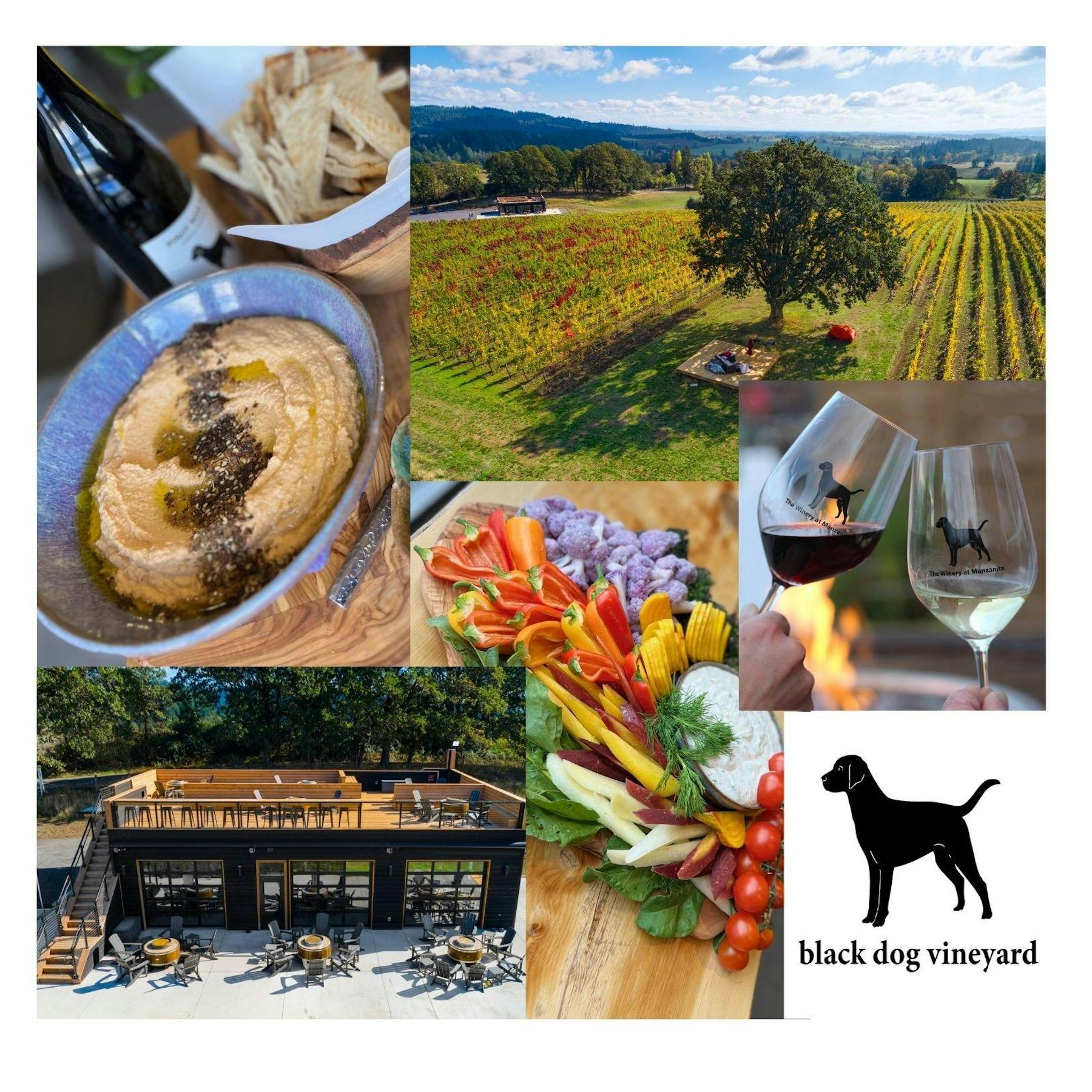 Black Dog Vineyard Carlton, OR Tock