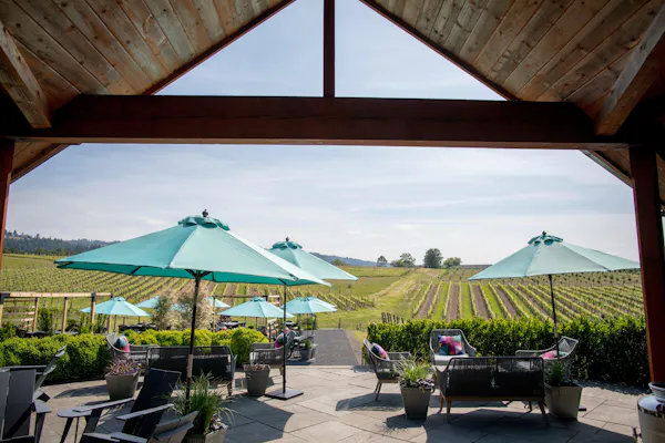 umbrella, shade, outdoor table, outdoor furniture, restaurant, bottle
