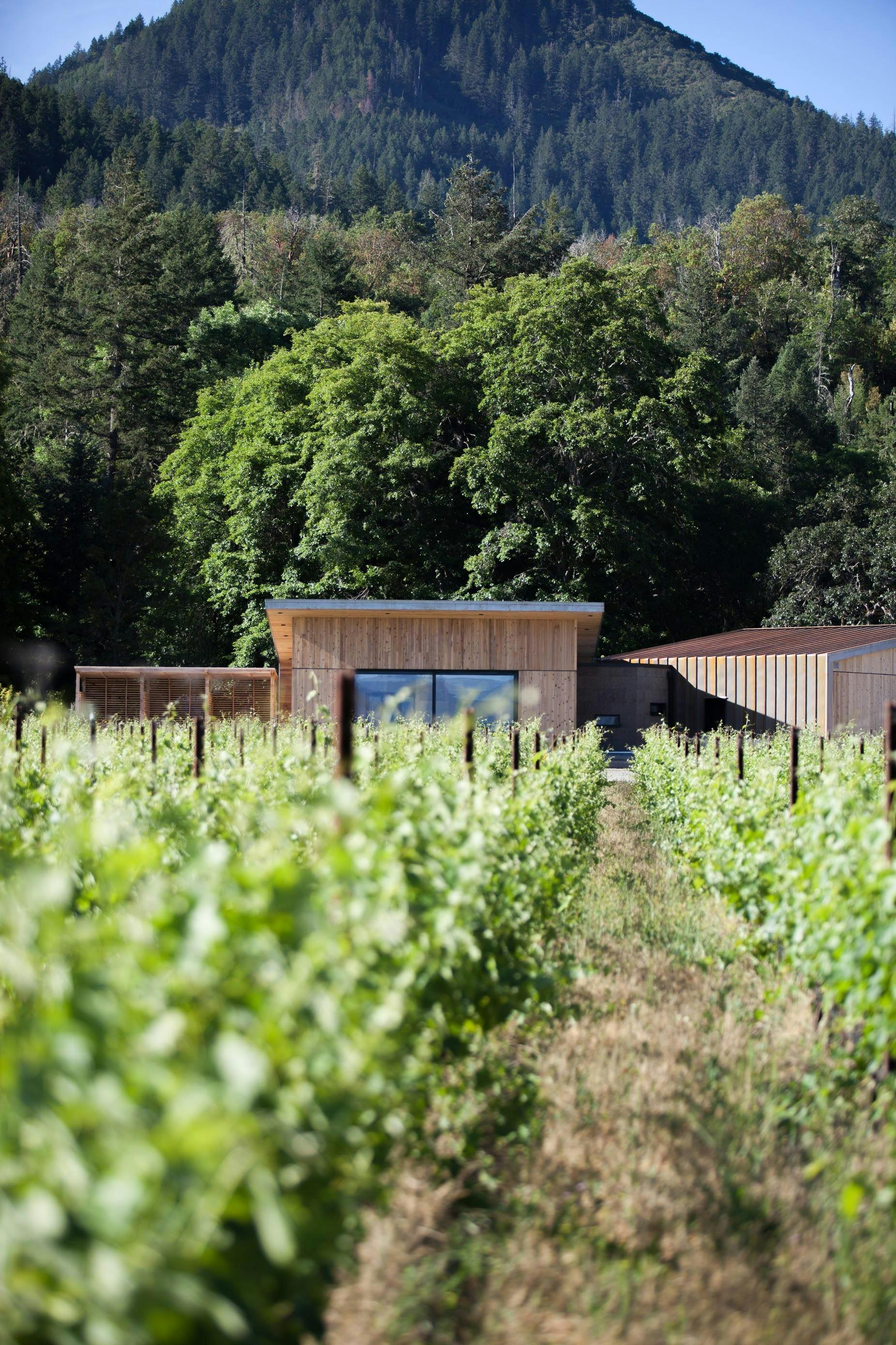 Cowhorn Vineyard & Garden