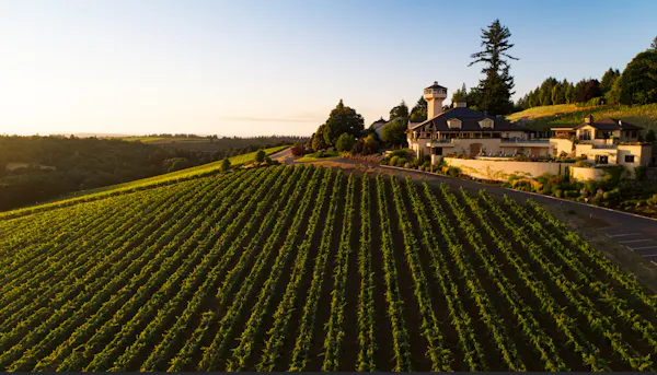 agriculture, plantation, field, vineyard, farm, croft