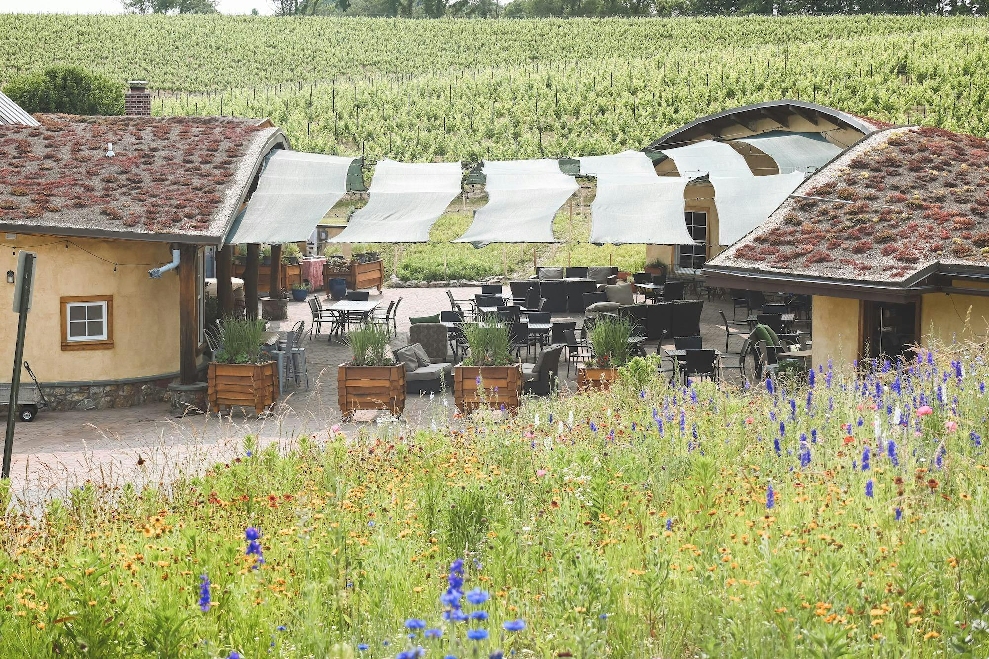 Black Ankle Vineyards