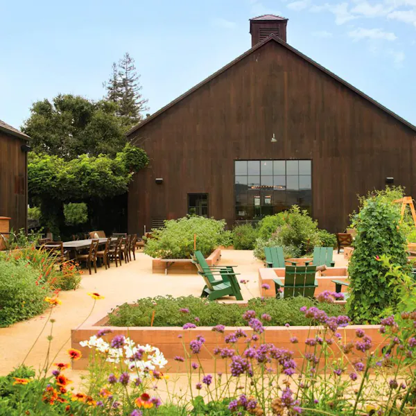 garden, yard, property, house, home, building