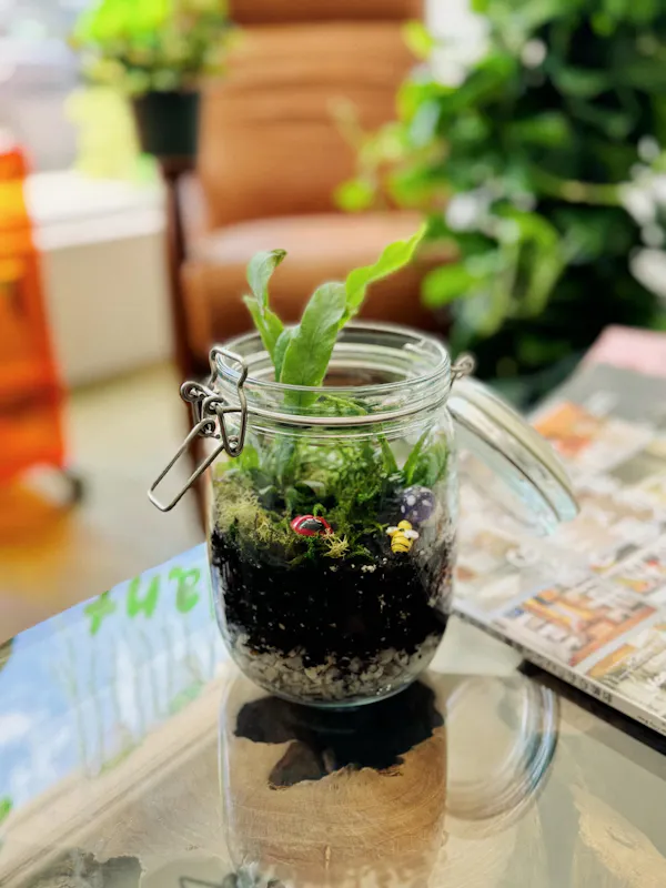 plant, houseplant, flowerpot, fines herbes, ingredient, recipe