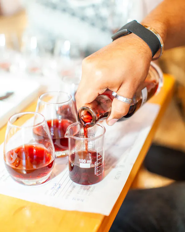 drinkware, tableware, alcoholic drink, liquor, liquid, barware