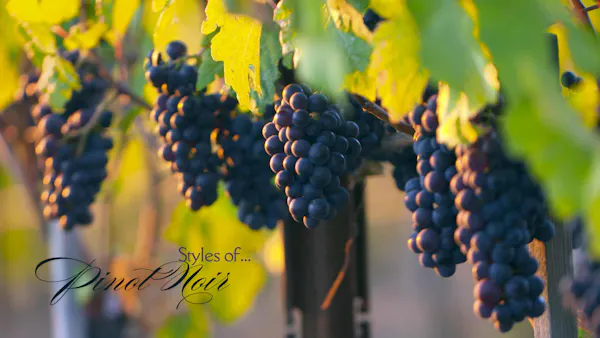 produce, seedless fruit, fruit, natural foods, grape, grapes