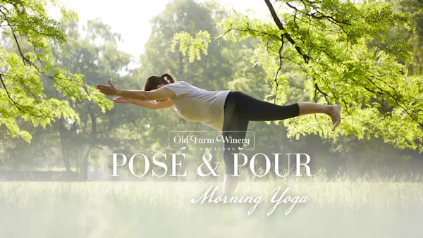 physical fitness, exercise, people in nature, yoga, happiness, leisure