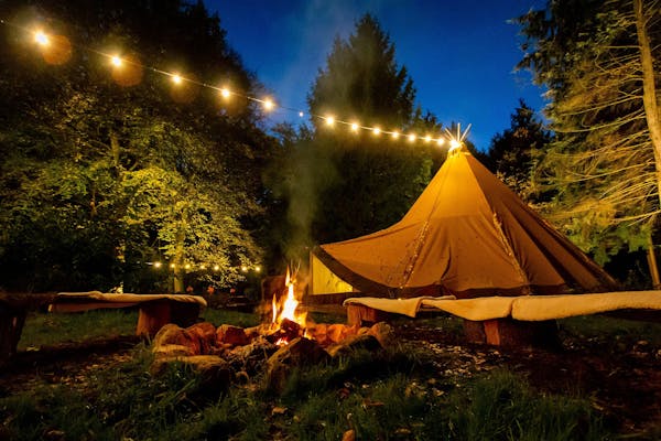 tent, nature, camping, light, wilderness, night