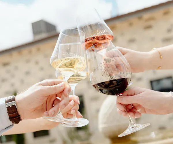 stemware, tableware, drinkware, wine glass, alcoholic drink, barware