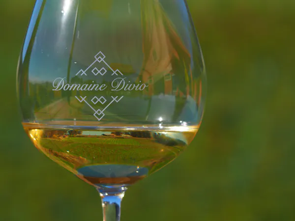 alcoholic drink, alcohol, stemware, drinkware, barware, tableware