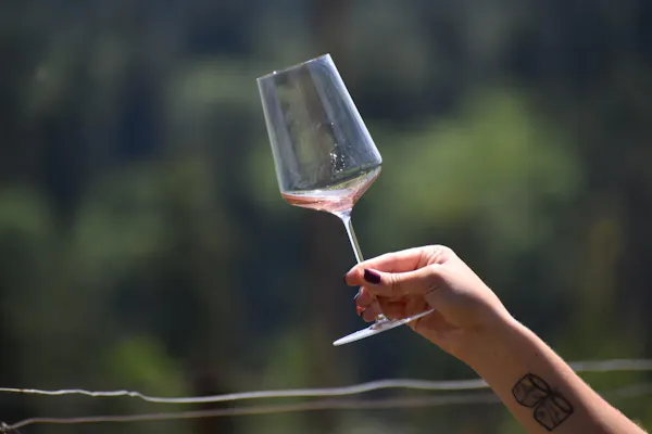 stemware, tableware, drinkware, alcoholic drink, wine glass, glass