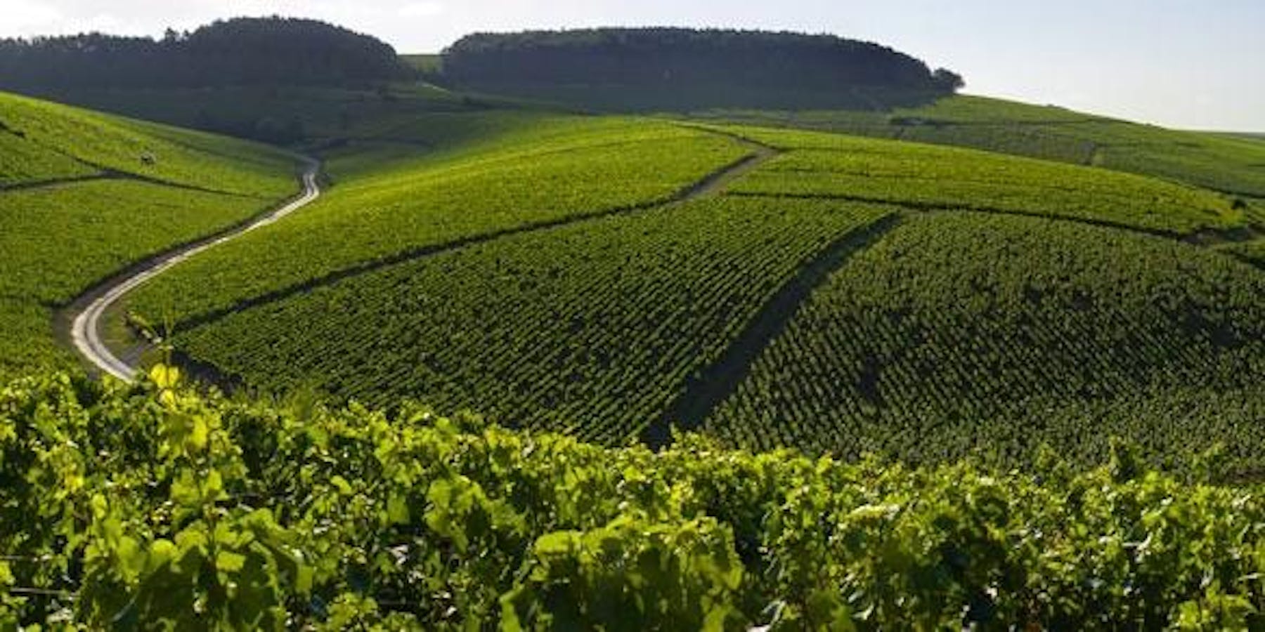 Noble Riot Wine Bar Denver, CO Tock