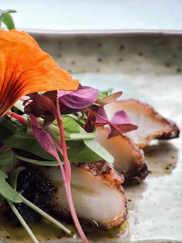 food, ingredient, leaf vegetable, seafood, cooking, culinary arts
