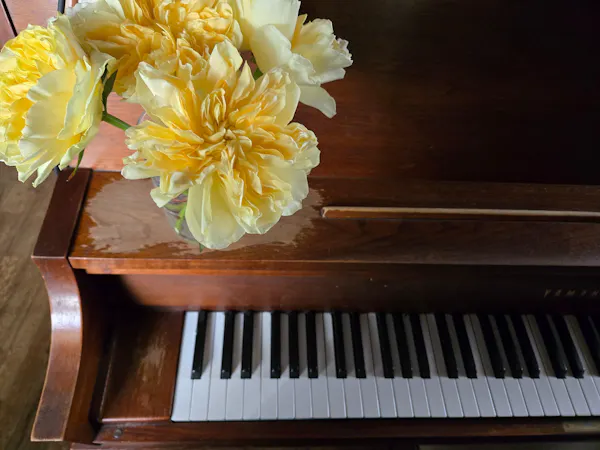 musical instrument, piano, keyboard, furniture, musical keyboard, wood stain