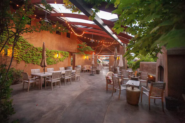 furniture, plant, table, chair, tree, flowerpot