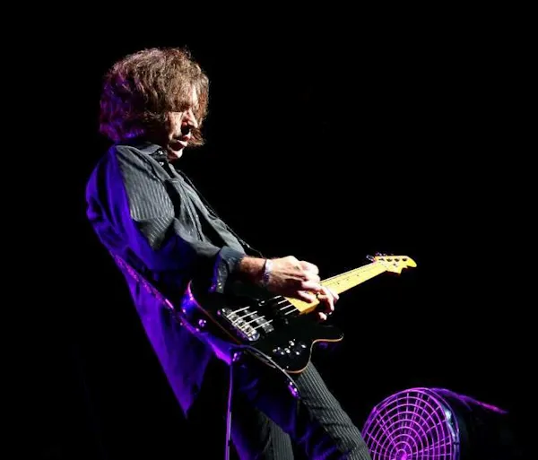musical instrument, string instrument, plucked string instrument, performing arts, chordophone, guitarist