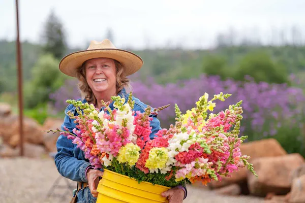 flower, petal, people in nature, spring, flowering plant, wildflower