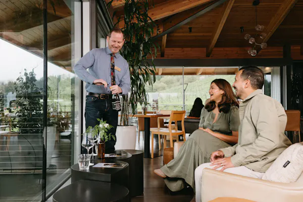 furniture, chair, ceiling, glass, conversation, houseplant