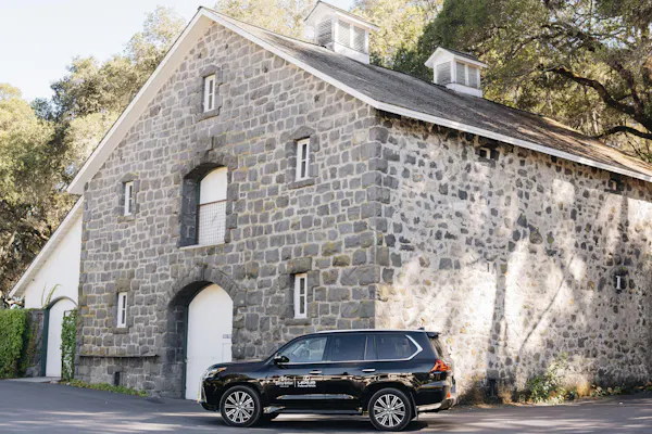 wheel, tire, car, plant, building, property