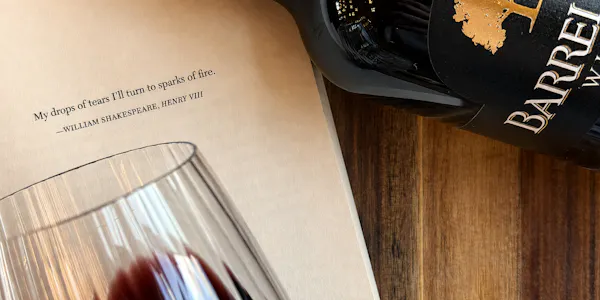 bottle, alcoholic drink, alcohol, liquid, barware, wine