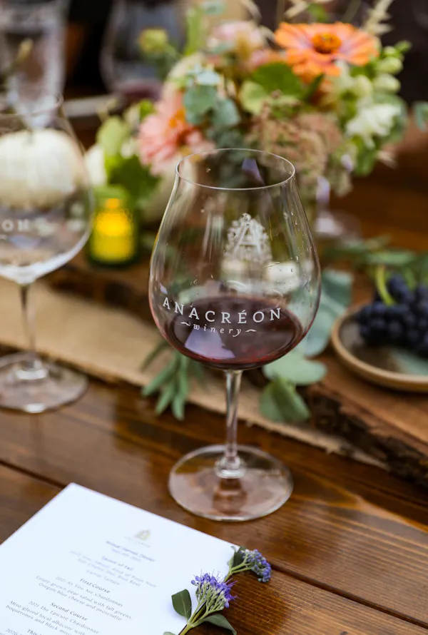 stemware, tableware, drinkware, wine glass, barware, champagne glass