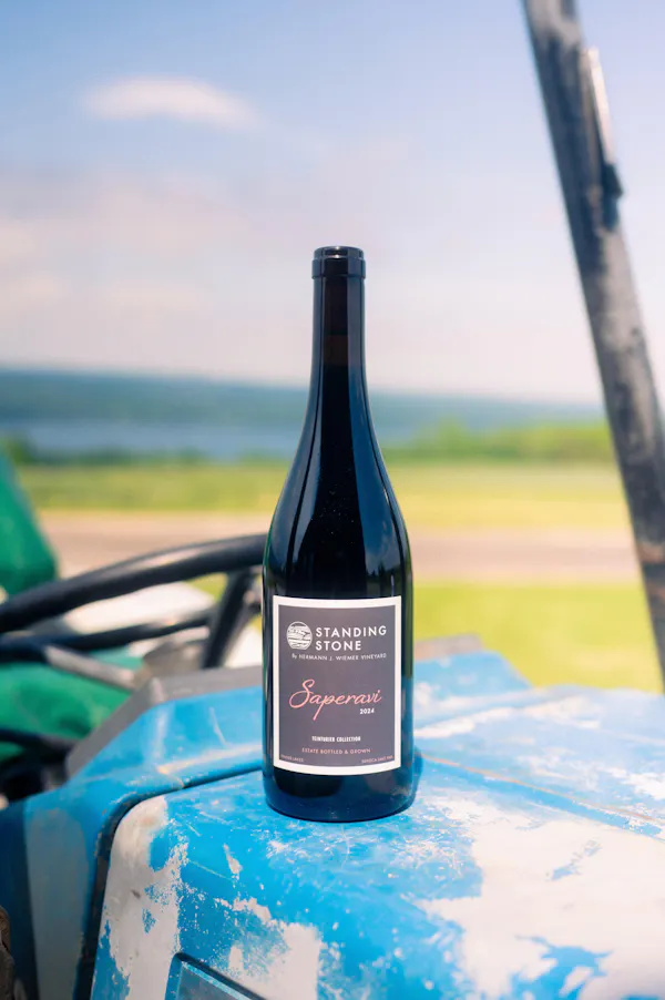 bottle, alcoholic drink, glass bottle, wine bottle, wine, alcohol