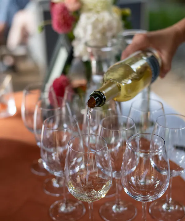 stemware, drinkware, tableware, alcoholic drink, barware, wine glass