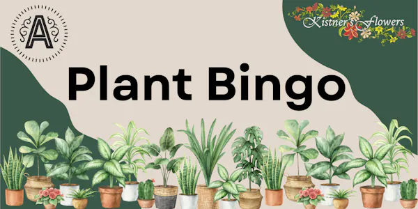 houseplant, flowerpot
