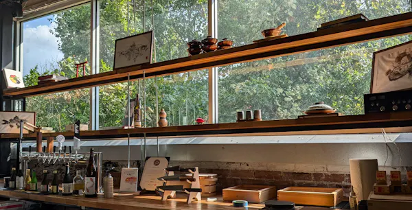 wood, tree, plant, beam, shade, building