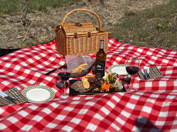 basket, picnic, food, plaid, tablecloth, picnic basket