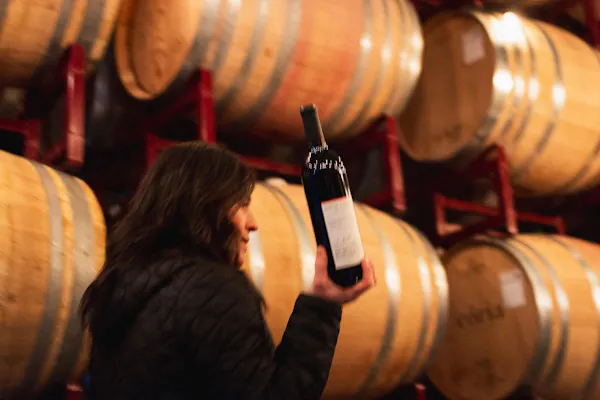barrel, winery, wine cellar, wine